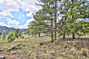 490 Teller St, Lake George, CO 80827 - Photo 23