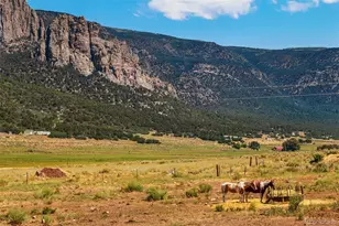 26101 Hwy 141, Whitewater, CO 81527 - Photo 21