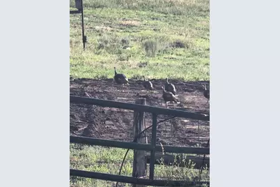 26101 Hwy 141, Whitewater, CO 81527 - Photo 29