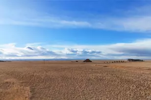 21545 Elk Meadows Cir, Elbert, CO 80106 - Photo 5