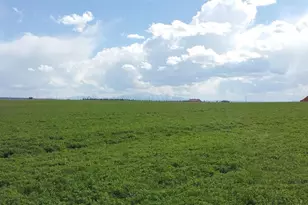 21545 Elk Meadows Cir, Elbert, CO 80106 - Photo 1