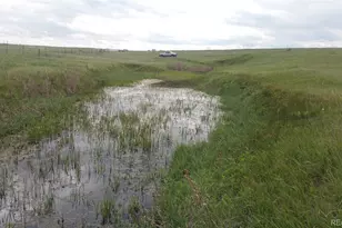 21545 Elk Meadows Cir, Elbert, CO 80106 - Photo 3