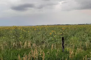 21545 Elk Meadows Cir, Elbert, CO 80106 - Photo 23