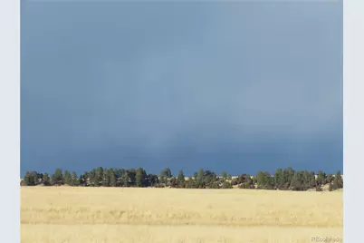 21545 Elk Meadows Circle, Elbert, CO 80106 - Photo 11