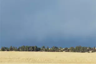 21545 Elk Meadows Cir, Elbert, CO 80106 - Photo 11