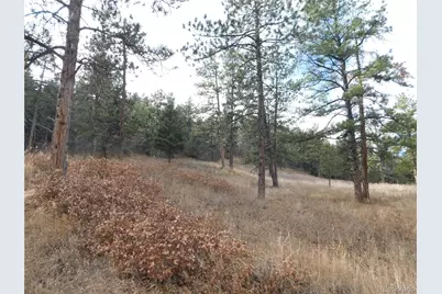 8055 Acoma Drive, Larkspur, CO 80118 - Photo 7