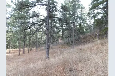 8055 Acoma Drive, Larkspur, CO 80118 - Photo 25