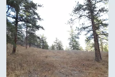 8055 Acoma Drive, Larkspur, CO 80118 - Photo 29