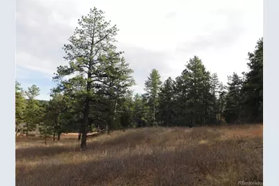 8055 Acoma Drive, Larkspur, CO 80118 - Photo 15