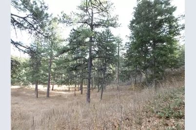 8055 Acoma Drive, Larkspur, CO 80118 - Photo 19