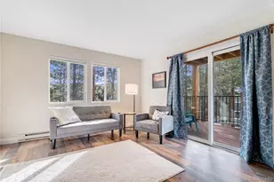 110 Now Colorado Ct, Breckenridge, CO 80424 - Photo 3