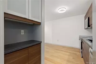 1008 N Corona Street, Denver, CO 80218 - Photo 7