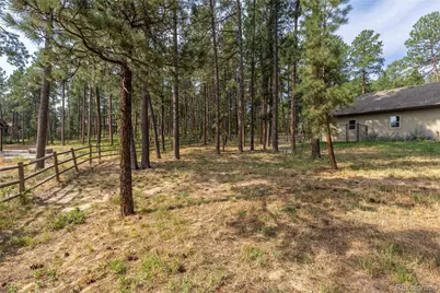 1395 Gore Circle, Larkspur, CO 80118 - Photo 45
