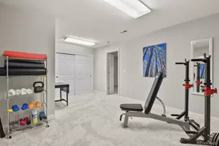 12 Mountain Laurel Dr, Littleton, CO 80127 - Photo 41
