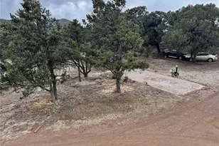 763 17th Trl, Cotopaxi, CO 81223 - Photo 35