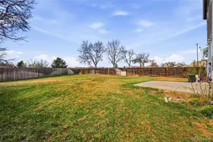 10509 Kline Way, Westminster, CO 80021 - Photo 29