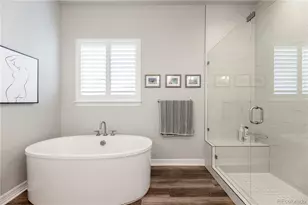 124 Kitselman Dr, Castle Rock, CO 80104 - Photo 15