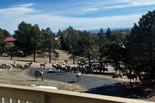 243 Paradise Rd, Golden, CO 80401 - Photo 45