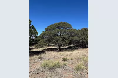 1718 Willow Creek Way, Crestone, CO 81131 - Photo 5