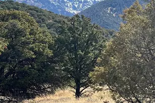 1718 Willow Creek Way, Crestone, CO 81131 - Photo 1