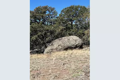 1718 Willow Creek Way, Crestone, CO 81131 - Photo 7