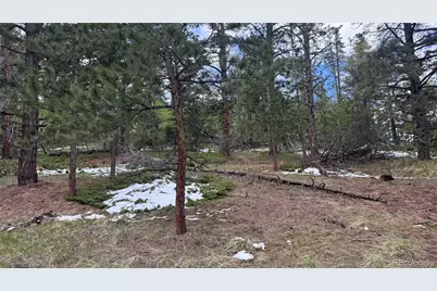 717 Crescent Lake Road, Golden, CO 80403 - Photo 11