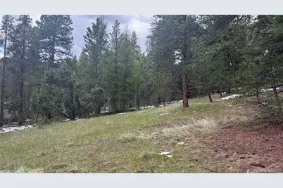 717 Crescent Lake Road, Golden, CO 80403 - Photo 5