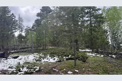 717 Crescent Lake Road, Golden, CO 80403 - Photo 19