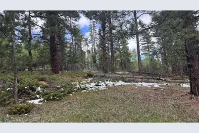 717 Crescent Lake Road, Golden, CO 80403 - Photo 13