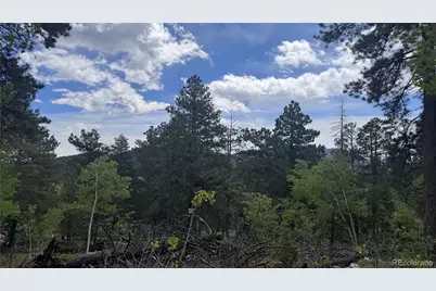 717 Crescent Lake Road, Golden, CO 80403 - Photo 15