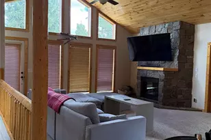 272 Porcupine Rd, Fairplay, CO 80440 - Photo 3