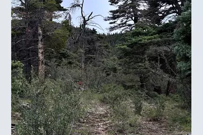 00 Sesame Road, Fort Garland, CO 81133 - Photo 11