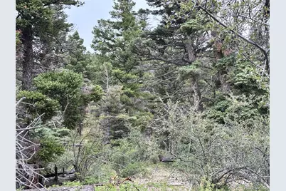 00 Sesame Road, Fort Garland, CO 81133 - Photo 13