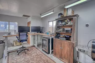 219 S Colorado Ave, Buena Vista, CO 81211 - Photo 39