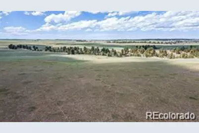 11726 Cr 102, Elbert, CO 80116 - Photo 5