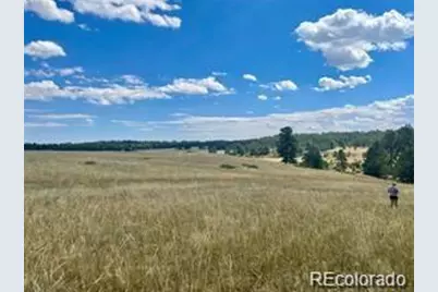 11726 Cr 102, Elbert, CO 80116 - Photo 3