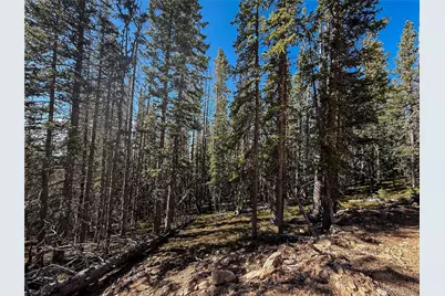 Lot 6530 Schluetter Road, Fort Garland, CO 81133 - Photo 7