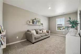 2398 Pineywoods St, Mead, CO 80542 - Photo 21