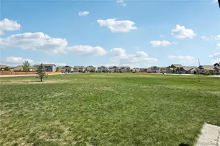 2398 Pineywoods St, Mead, CO 80542 - Photo 43