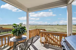 2398 Pineywoods St, Mead, CO 80542 - Photo 31