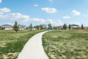 2398 Pineywoods St, Mead, CO 80542 - Photo 39