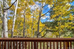 13082 S Wamblee Valley Rd, Conifer, CO 80433 - Photo 47