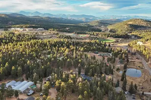 26994 Grey Moose Trail, Conifer, CO 80433 - Photo 43