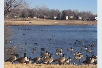 7624 Gray Way, Arvada, CO 80003 - Photo 39