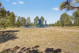 18249 E Saskatoon Pl, Parker, CO 80134 - Photo 41