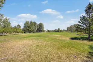18249 E Saskatoon Pl, Parker, CO 80134 - Photo 39