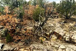 3115 Canyon Heights Rd, Pueblo, CO 81005 - Photo 33