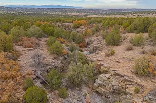 3115 Canyon Heights Rd, Pueblo, CO 81005 - Photo 39