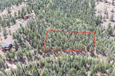 12397 S Cindy Avenue, Pine, CO 80470 - Photo 5