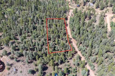 12397 S Cindy Avenue, Pine, CO 80470 - Photo 7